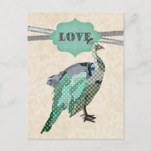 Celeste Peacock Love Postcard