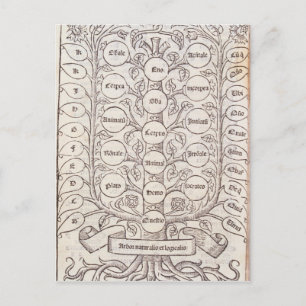 Celestial ladder postcard