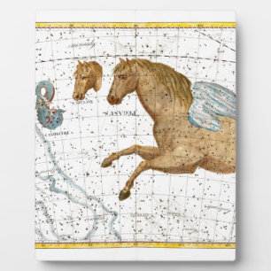 Celestial Map Pegasus Plaque
