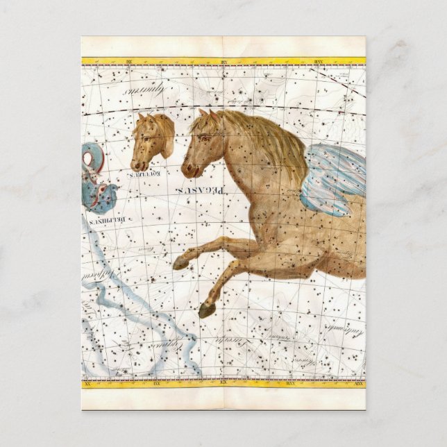 Celestial Map Pegasus Postcard (Front)