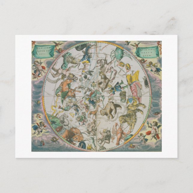 Celestial Planisphere Showing the Signs of the Zod Postcard (Front)