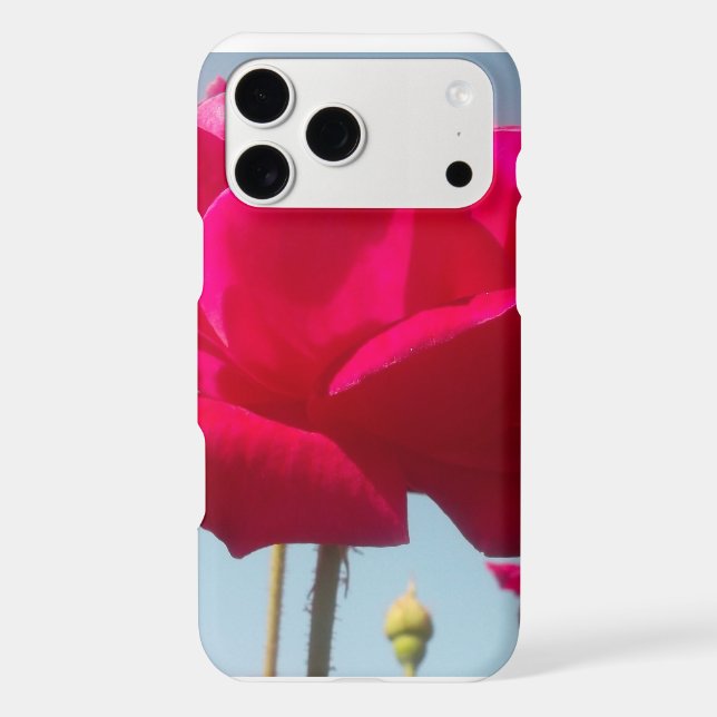 Celestial Rose | Beautiful Red Bloom Against Blue  (Back)