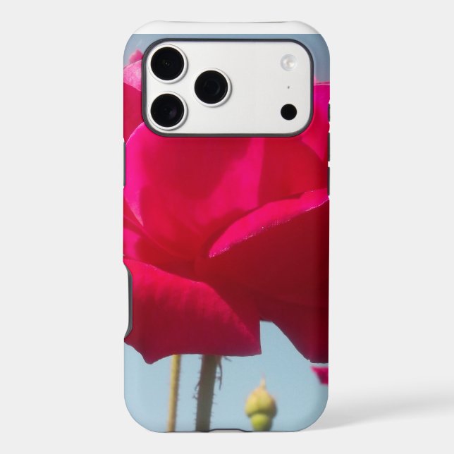 Celestial Rose | Beautiful Red Bloom Against Blue  (Back)