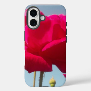 Celestial Rose Beautiful Red Bloom Against Blue iPhone 16 Case