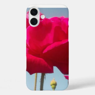 Celestial Rose Beautiful Red Bloom Against Blue iPhone 16 Plus Case