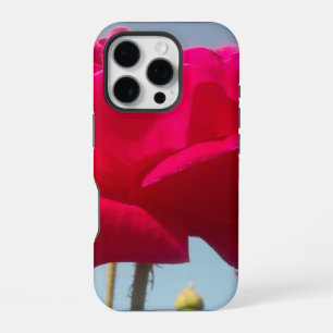 Celestial Rose Beautiful Red Bloom Against Blue iPhone 16 Pro Case