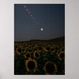 Celestial Sunflower Field Art Print