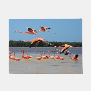 Celestun Biosphere Reserve Doormat