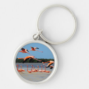 Celestun Biosphere Reserve Key Ring
