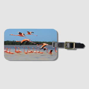Celestun Biosphere Reserve Luggage Tag