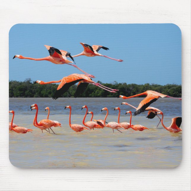 Celestun Biosphere Reserve Mouse Pad (Front)