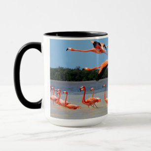 Celestun Biosphere Reserve Mug