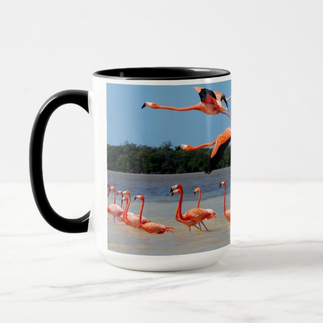 Celestun Biosphere Reserve Mug (Left)