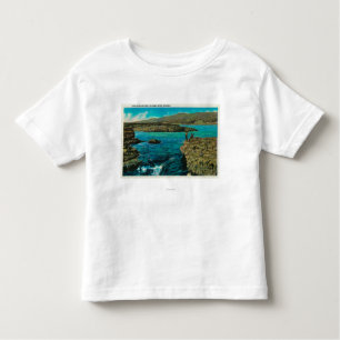 Celilo Falls on the Columbia River Toddler T-Shirt