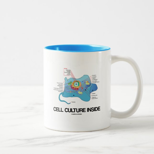 Cell Culture Inside (Eukaryotic Cell) Two-Tone Coffee Mug (Right)