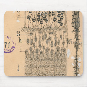 Cell Drawing Eye Retina Santiago Ramon Y Cajal Mouse Pad
