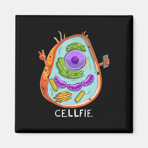 cell fie biology cellular biology science teacher magnet