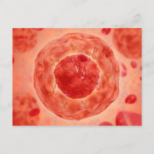 Cell Nucleus With Chromosome 2 Postcard