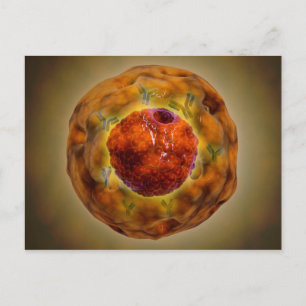 Cell Nucleus With Chromosome 3 Postcard