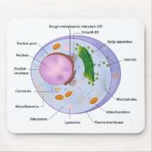 Cell structure mousepad