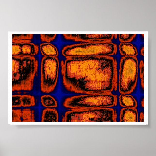 cell walls poster (Front)