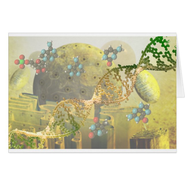 Cell with DNA (Front Horizontal)