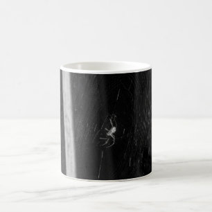 Cellar Spider Coffee Mug