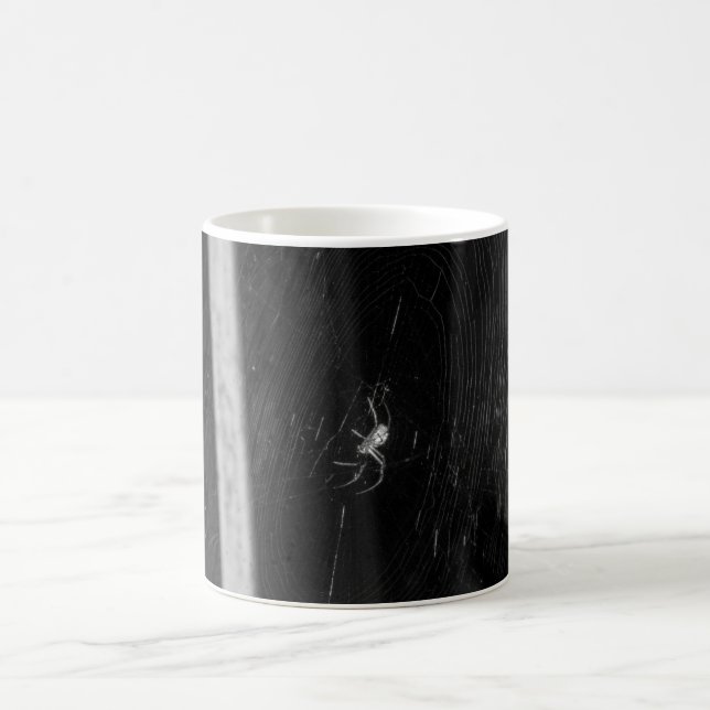 Cellar Spider Coffee Mug (Center)