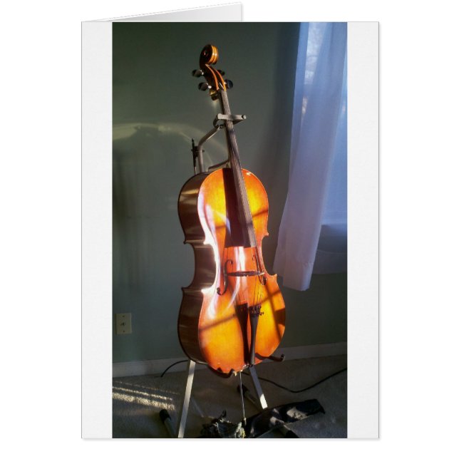 Cello 2 (Front)