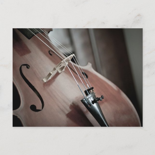 Cello classical music stringed instrument postcard (Front)
