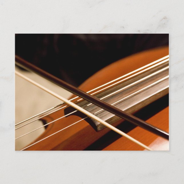 Cello Strings Postcard (Front)