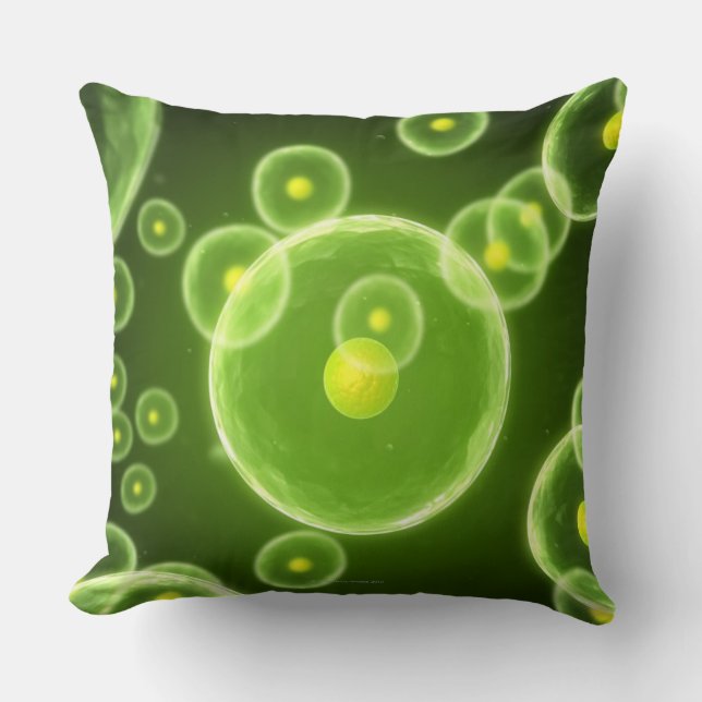 Cells 2 cushion (Front)