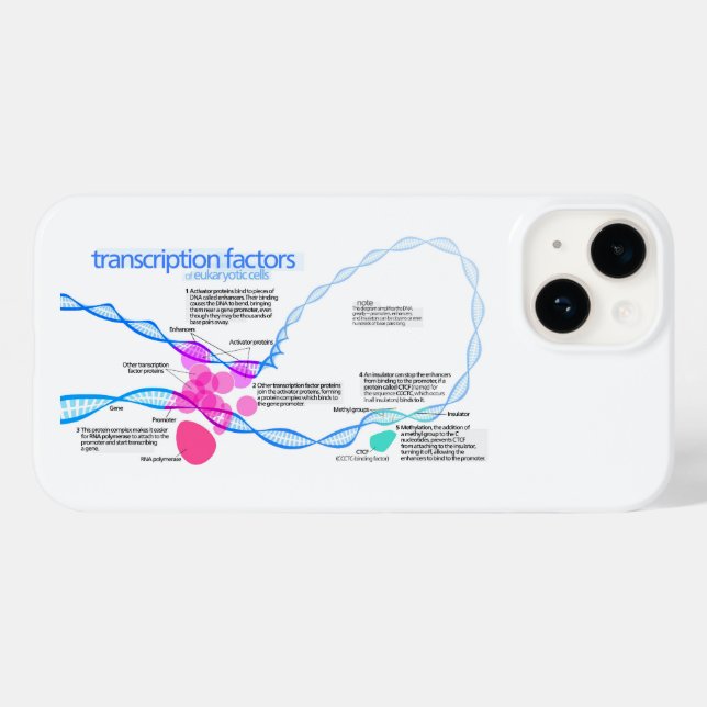 Cells Gene Transcription Factors Diagram  Case-Mate iPhone Case (Back (Horizontal))