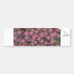 cellular bumper sticker