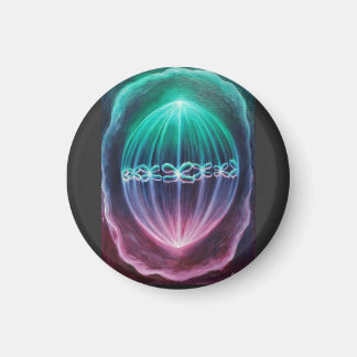 Cellular division magnet
