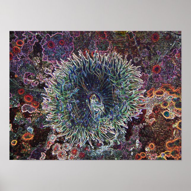 Cellular Origins Poster (Front)