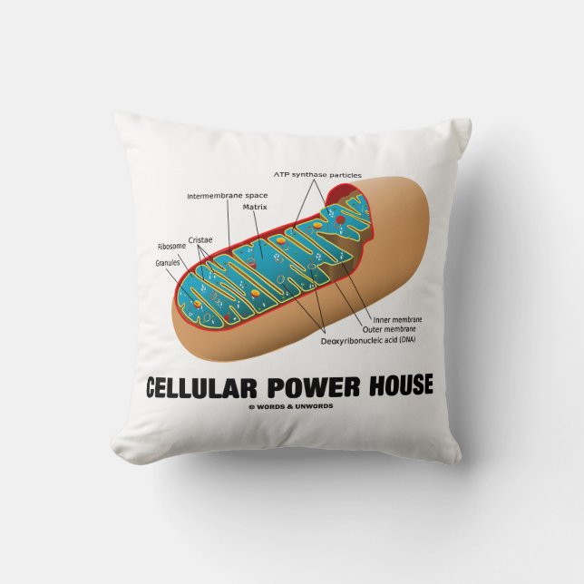 Cellular Power House Mitochondrion Cushion (Front)