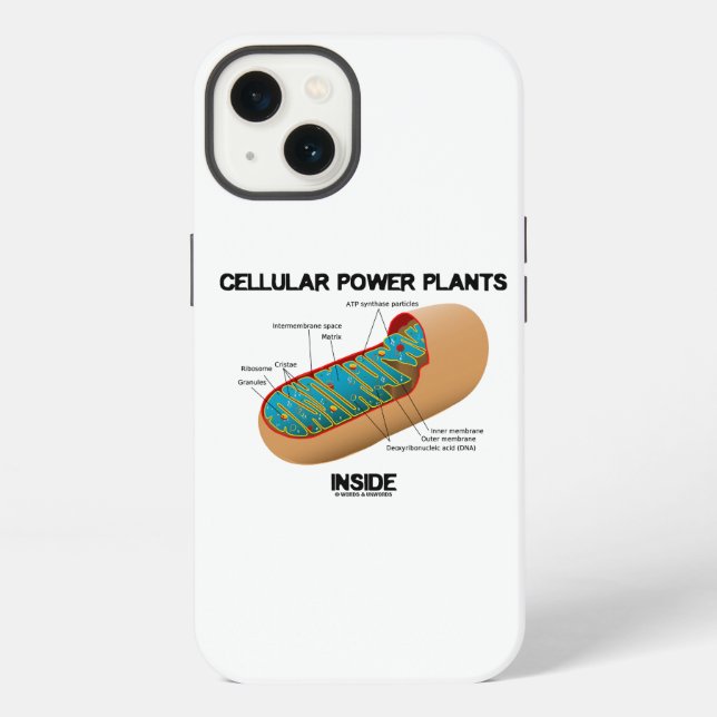 Cellular Power Plants Inside Mitochondrion iPhone Case (Back)