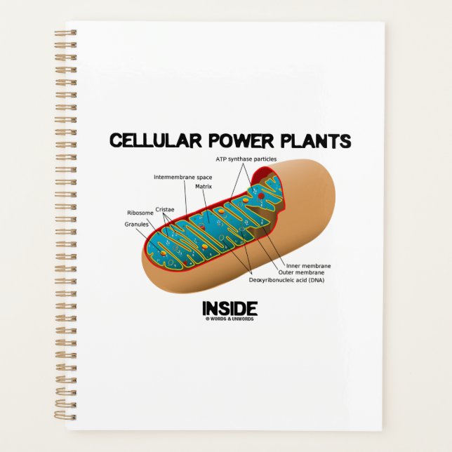 Cellular Power Plants Inside Mitochondrion Planner (Front)
