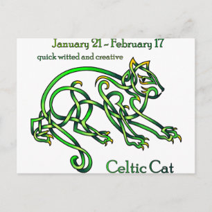 Celtic Cat Postcard
