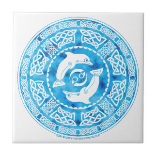 Celtic Dolphins Tile