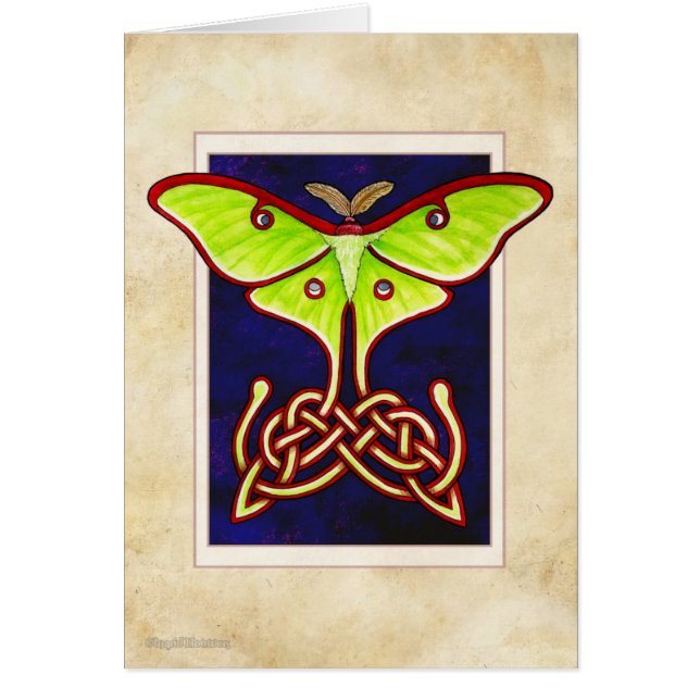 Celtic Lunar Moth (Front)