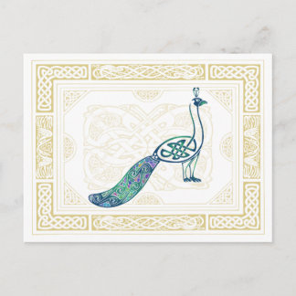 Celtic Peacock Postcard
