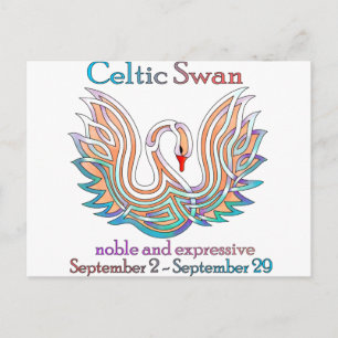 Celtic Swan Postcard