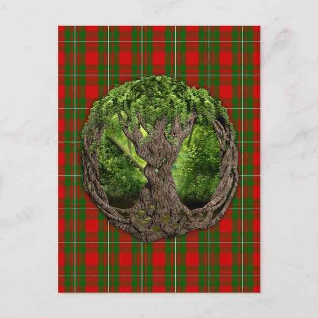 Celtic Tree Of Life And Clan MacGregor Tartan Postcard (Front)