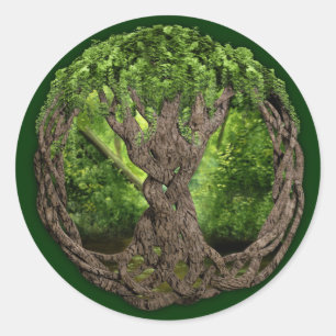 Celtic Tree Of Life Classic Round Sticker