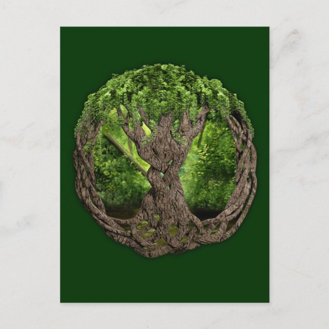 Celtic Tree Of Life Postcard (Front)