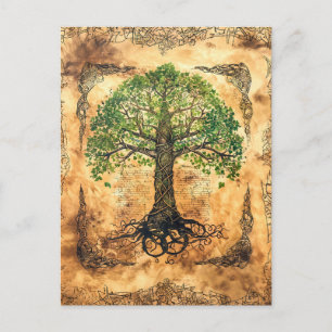 Celtic Tree of Life Postcard