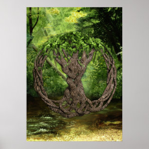Celtic Tree Of Life Poster