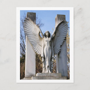 Cemetery Angel Spreading Wings Postcard